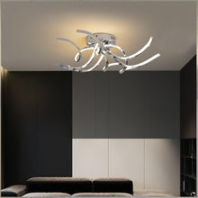 Load image into Gallery viewer, Franca
