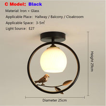 Load image into Gallery viewer, Eliora LED ceiling light, frosted glass shade close-up, iron bracket
