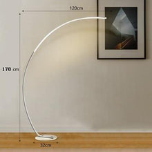 Load image into Gallery viewer, Zipaquirá floor lamp black body with dimmable remote control variant
